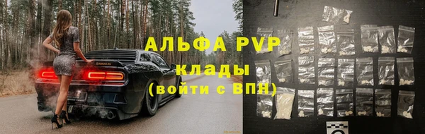 mdpv Белокуриха